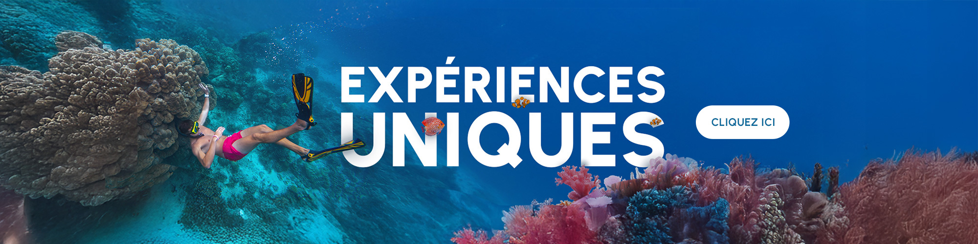 Discover the worldMalaysia from 2000€